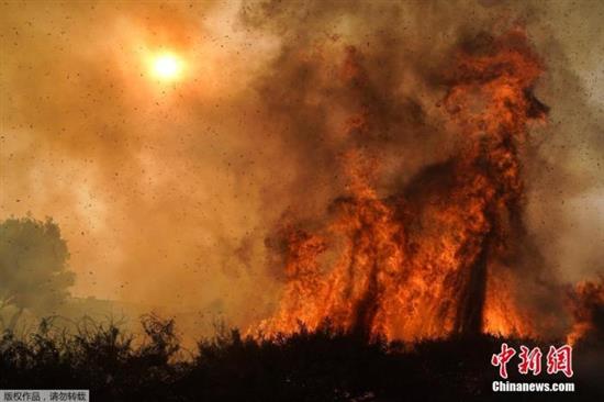 当地时间2020年10月26日，美国加州欧文市，Silverado大火迫使6万名居民撤离。强风使灌木丛大火扩大到2000英亩以上。